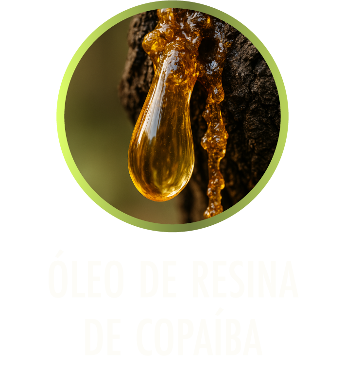 Óleo de Resina de Copaíba